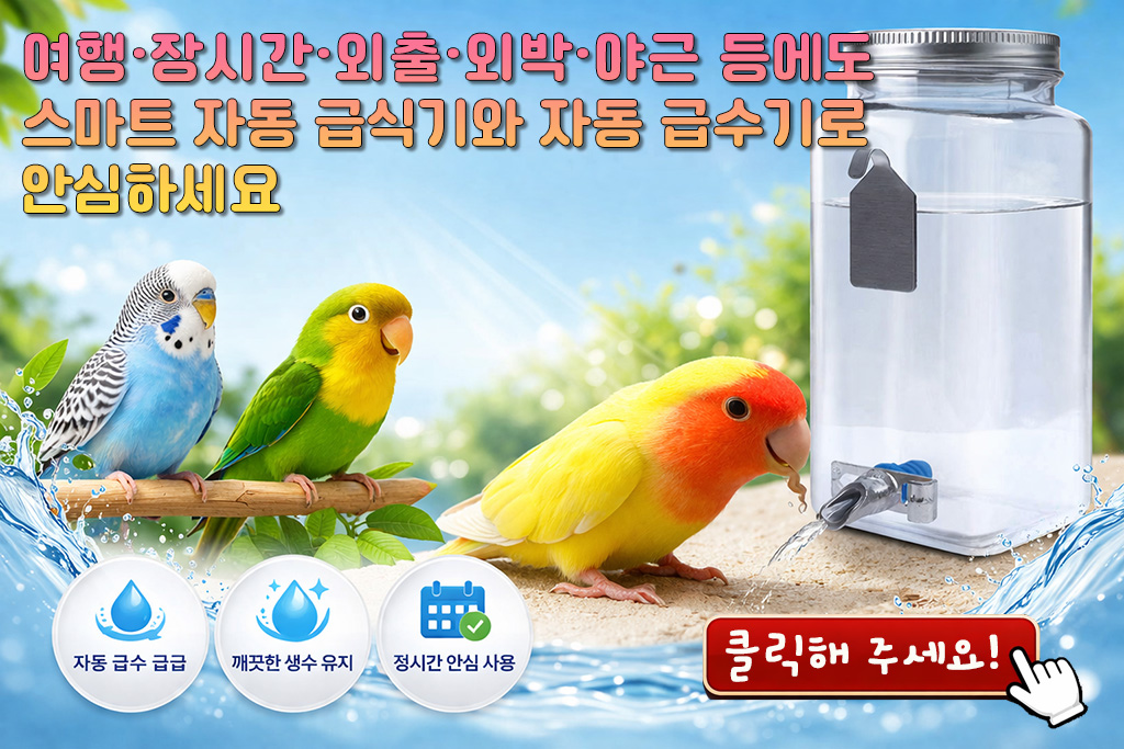 홈 top5 복사 260326